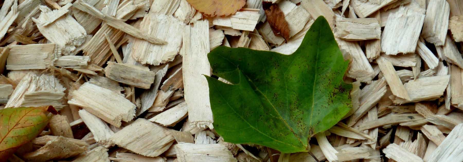 Mulchen: Warum? Wie?