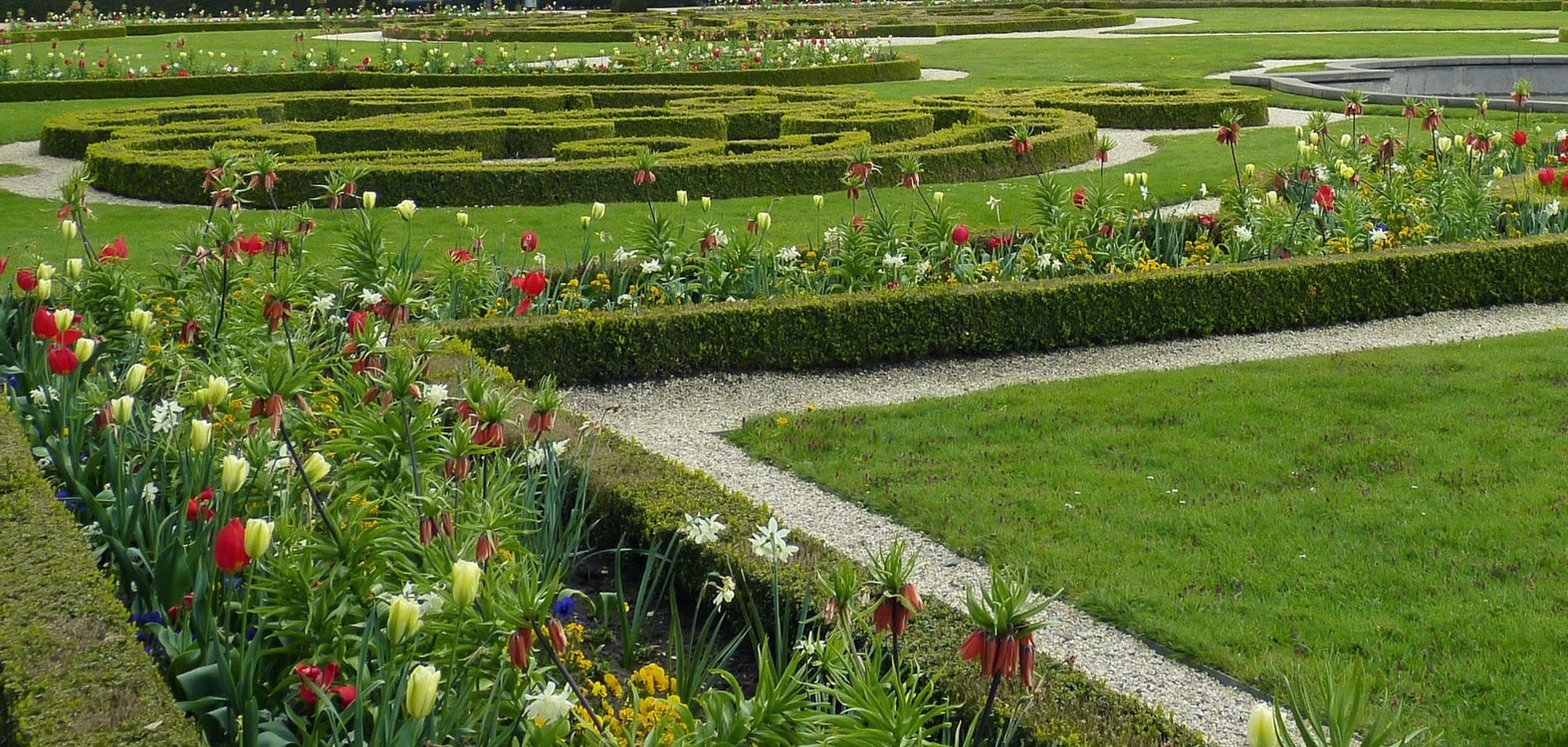 Buchsbaumhecke in einem französischen Garten