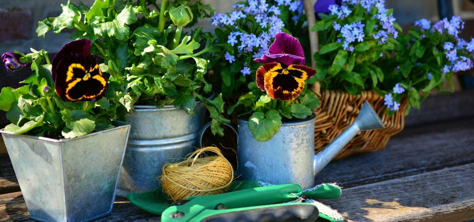 Jede Jahreszeit hat ihre Gartenarbeit
