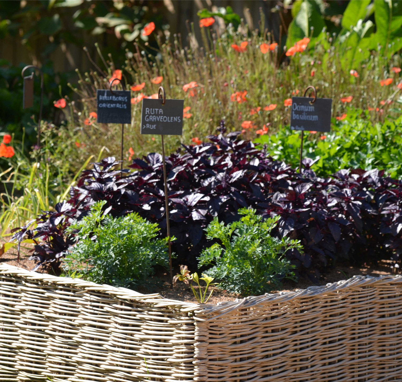 Gemüsegarten: 5 gute Gründe, dieses Jahr damit zu beginnen