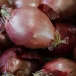 Knoblauch, Schalotten und Zwiebeln pflanzen