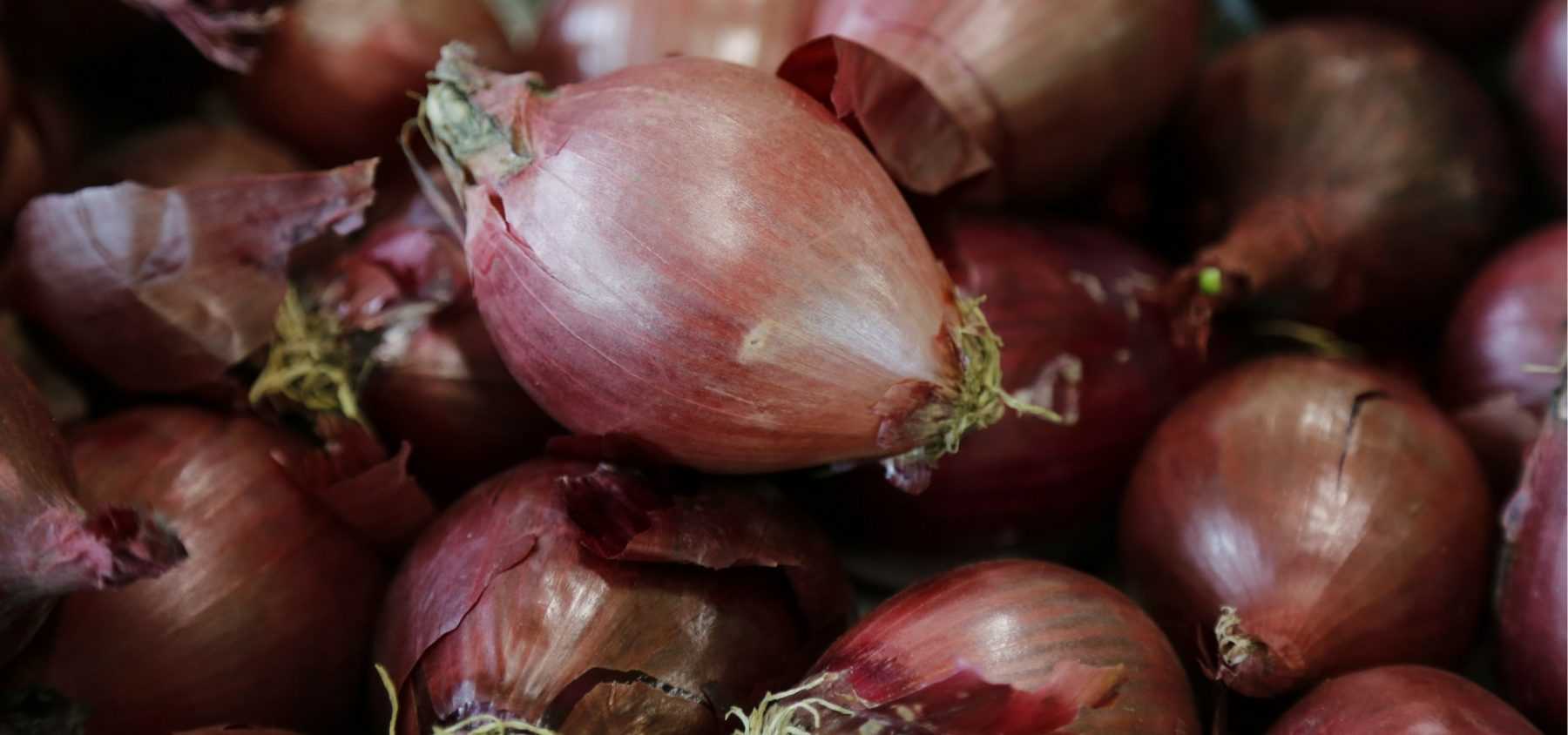 Knoblauch, Schalotten und Zwiebeln pflanzen