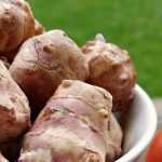 Umfassender Leitfaden zum Pflanzen und erfolgreichen Anbau von Topinambur im Garten