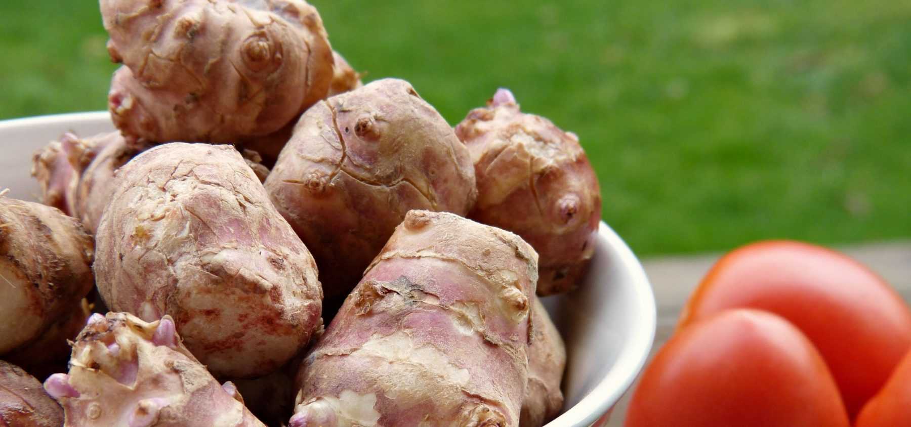 Umfassender Leitfaden zum Pflanzen und erfolgreichen Anbau von Topinambur im Garten