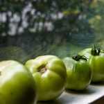 Was tun mit grünen Tomaten?