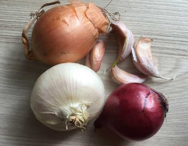 Knoblauch, Zwiebel, Schalotte … Im Februar im Gemüsegarten!