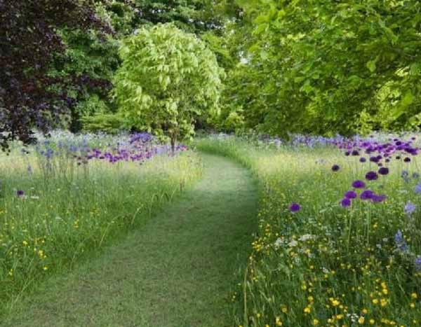 Pflegeleichter Garten: Tipps, Tricks und geeignete Pflanzen
