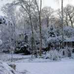 Schnee im Garten – großer Nutzen oder echte Plage?