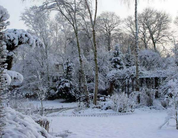 Schnee im Garten – großer Nutzen oder echte Plage?