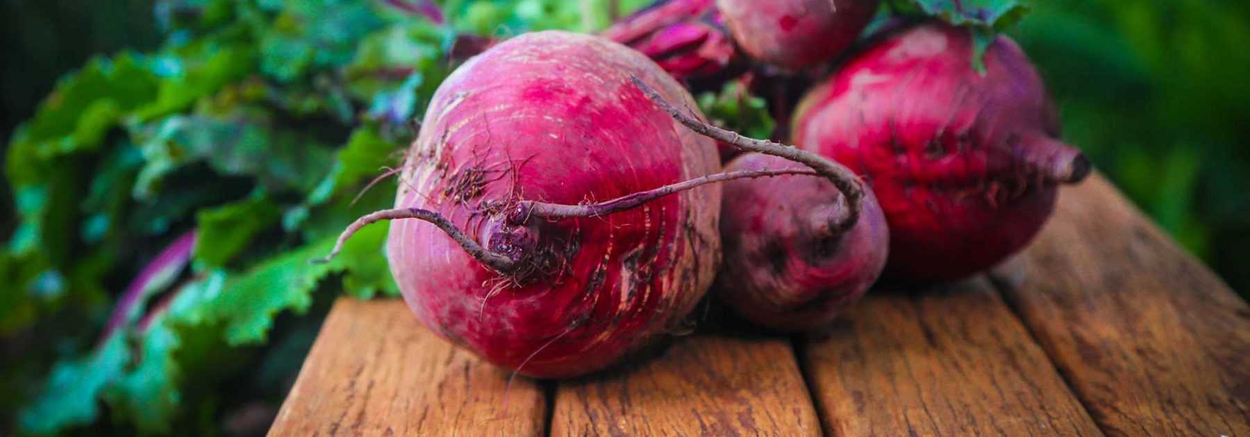 Rote Bete: Aussaat, Pflanzung, Anbau und Ernte