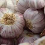 Knoblauch: Pflanzen, Anbau und Ernte im Gemüsegarten