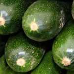 Zucchini: Aussaat, Pflanzung und Anbau im Gemüsegarten
