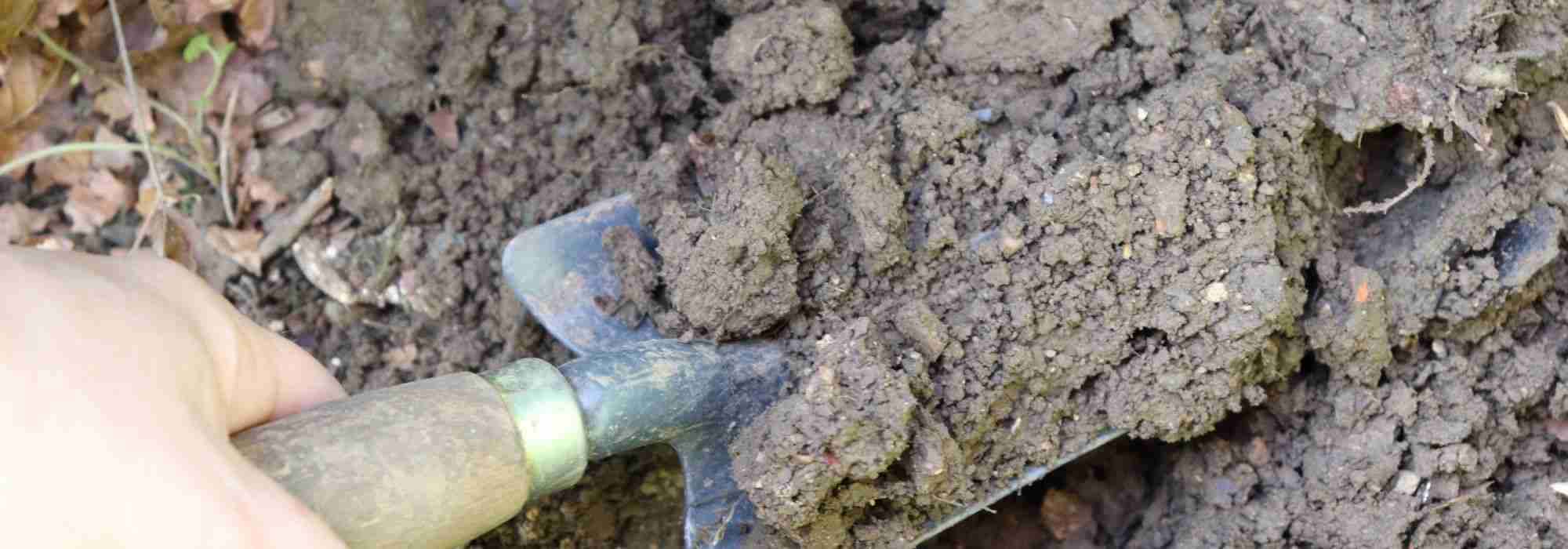 Bodenfruchtbarkeit: reich oder arm, woran erkennt man’s?