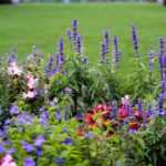 Englischer Garten: Gestaltungstipps?