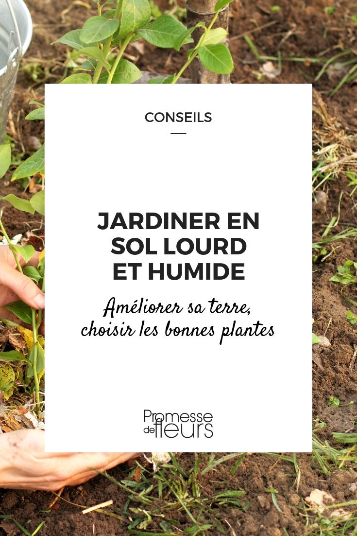 Schwerer und feuchter Boden im Garten: Tipps