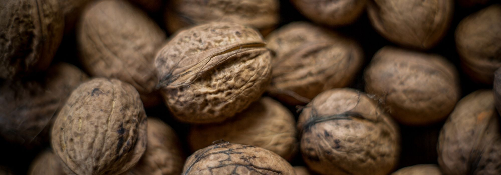 Walnuss (Juglans regia): pflanzen, Rückschnitt, Pflege