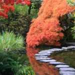 Japanischer Garten: 10 typische Stauden