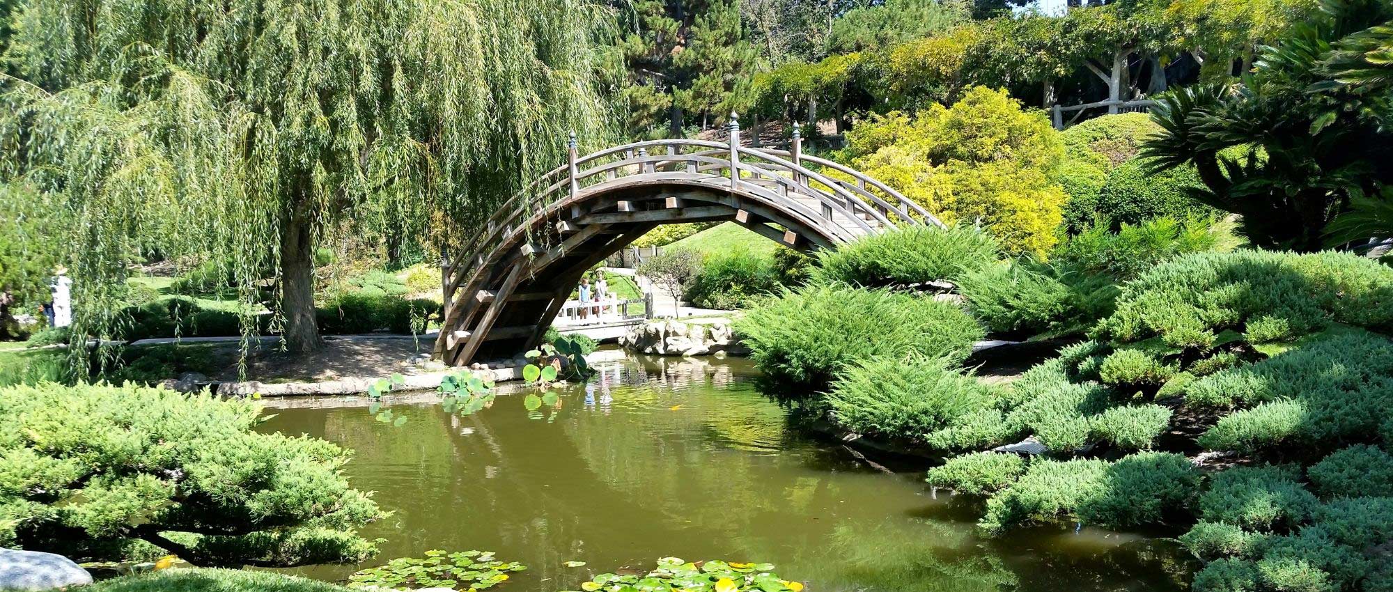 7 Ideen für Pflanzenkombinationen im Japangarten
