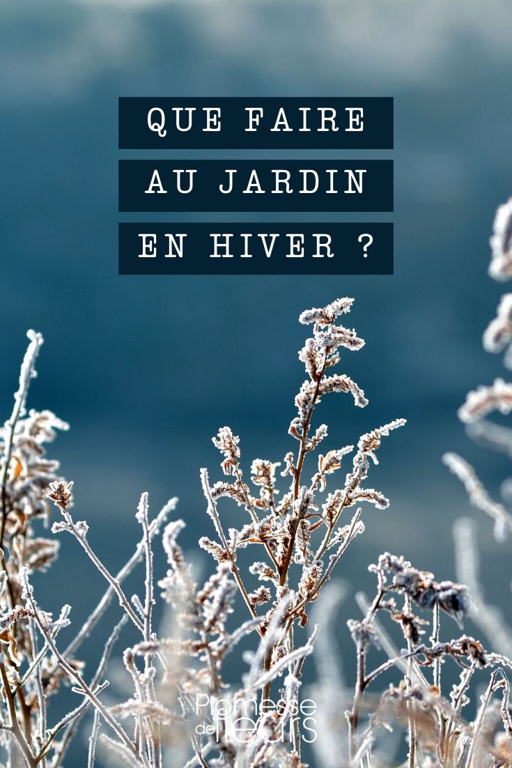 Winter: Was ist im Garten zu tun?