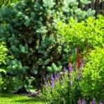 Garten im Neubaugebiet: gestalten & personalisieren