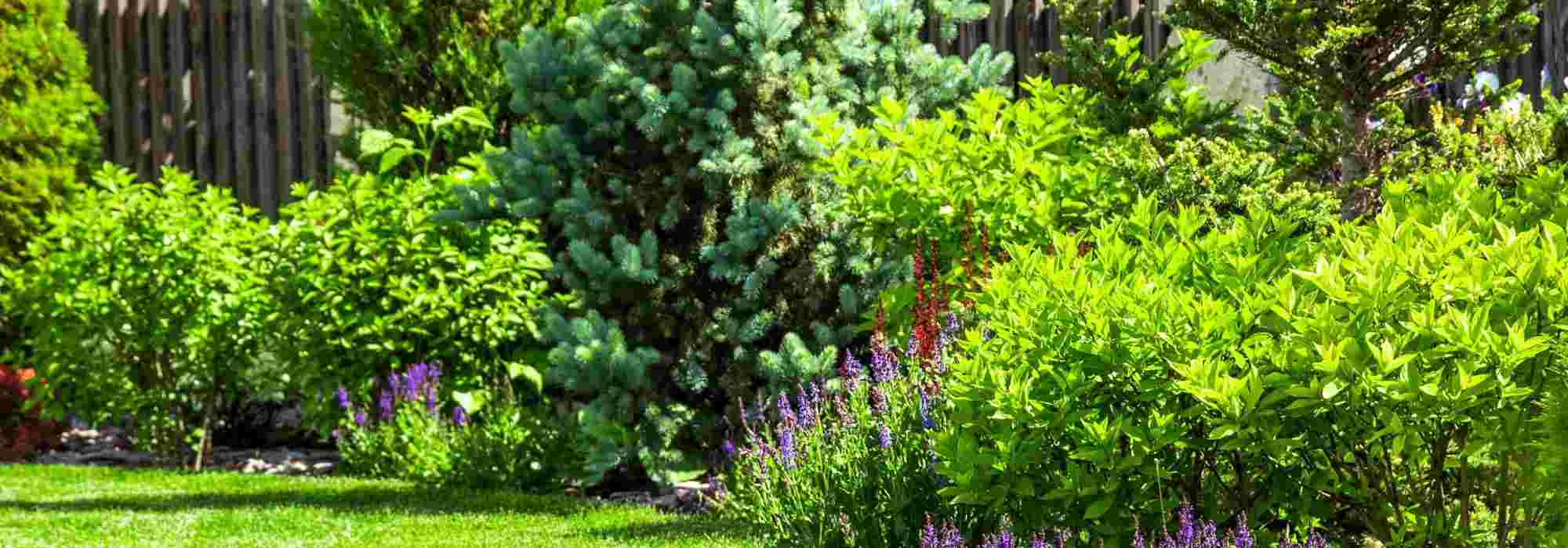 Garten im Neubaugebiet: gestalten & personalisieren