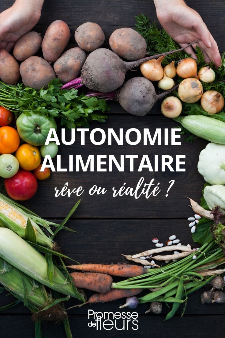 Ernährungssouveränität: Traum oder Realität?