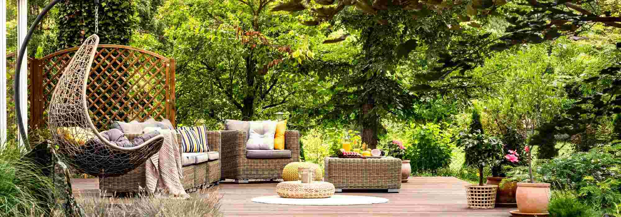 Welche Bäume nicht neben der Terrasse pflanzen?