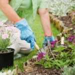 Mycobacterium vaccae: Geheimnis guter Laune