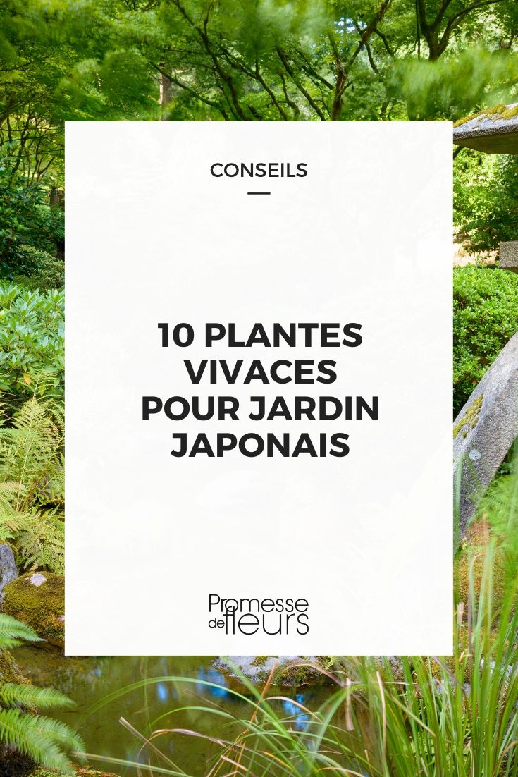 Japanischer Garten: 10 ideale Stauden