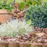 Welcher Mulch für Böschung oder Hangbeet?
