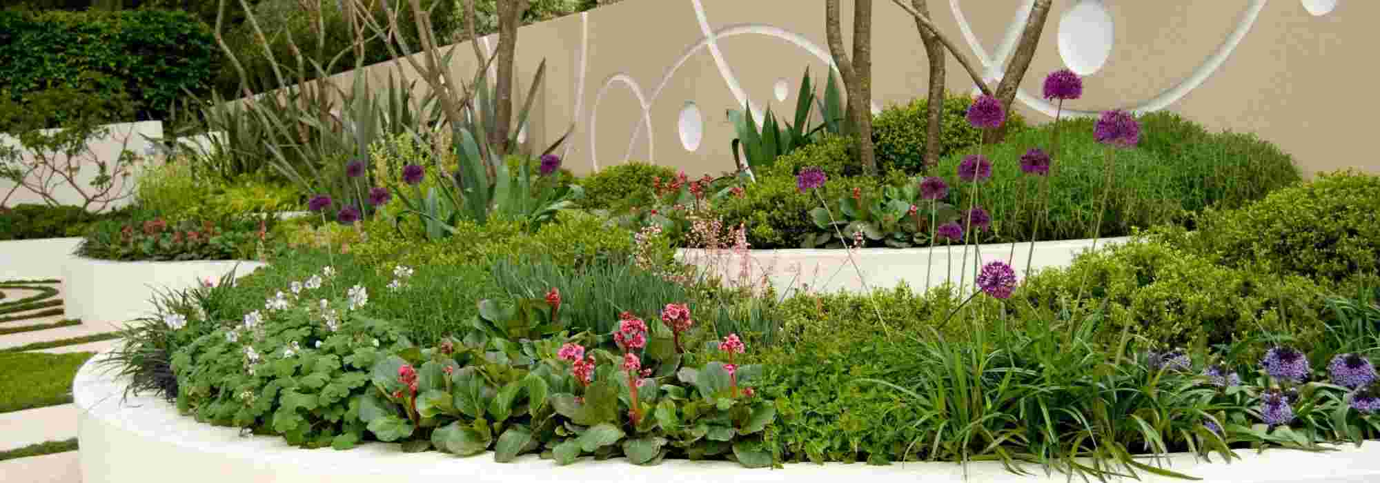 5 Pflanztipps für einen dekorativen, modernen Garten