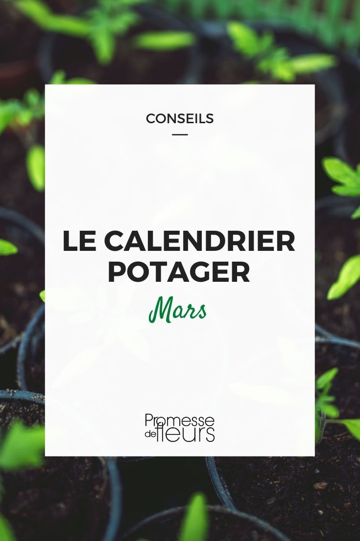 Gemüsegarten-Kalender März