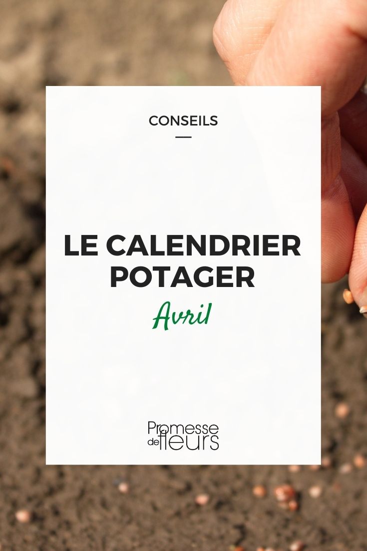 Gemüsegarten-Kalender April