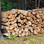 Wie schützt man seinen Holzstapel? Unsere Tipps für eine gute Trocknung