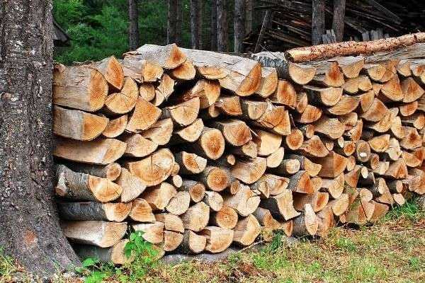 Wie schützt man seinen Holzstapel? Unsere Tipps für eine gute Trocknung