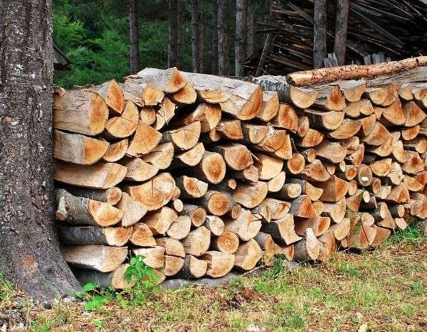 Wie schützt man seinen Holzstapel? Unsere Tipps für eine gute Trocknung