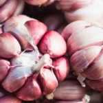 Knoblauch wählen: Kaufratgeber