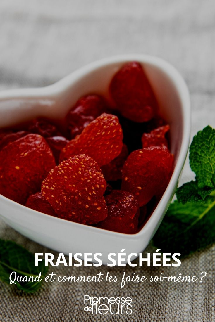 getrocknete Erdbeeren herstellen