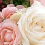 10 Tipps für schöne Rosensträuße