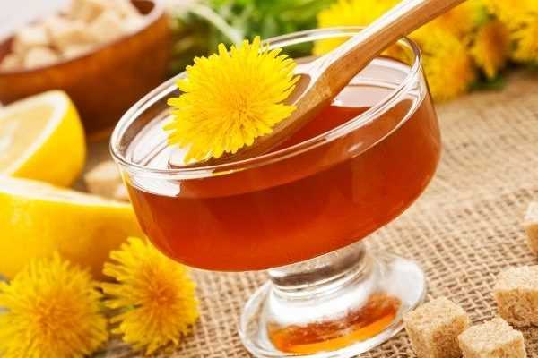 Das Rezept für Löwenzahngelee