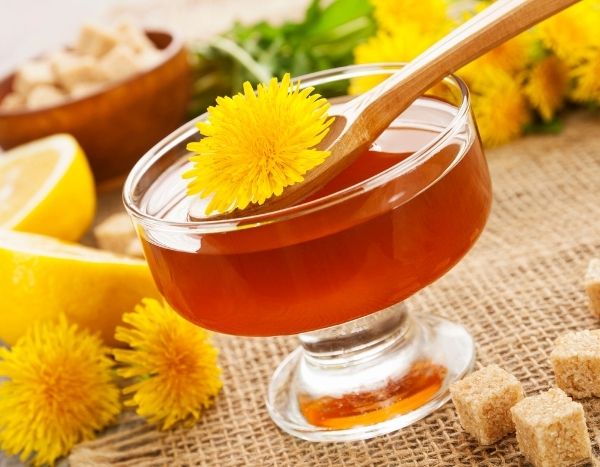 Das Rezept für Löwenzahngelee