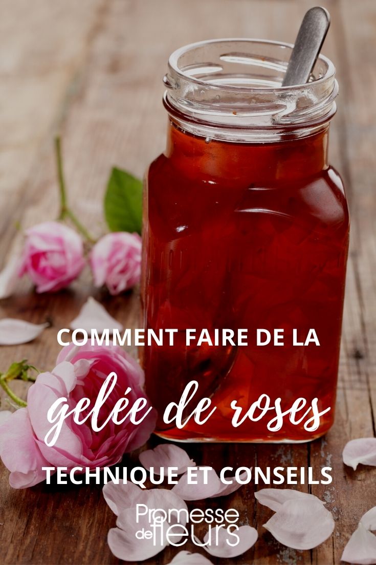 Marmelade aus Rosen - Tutorial