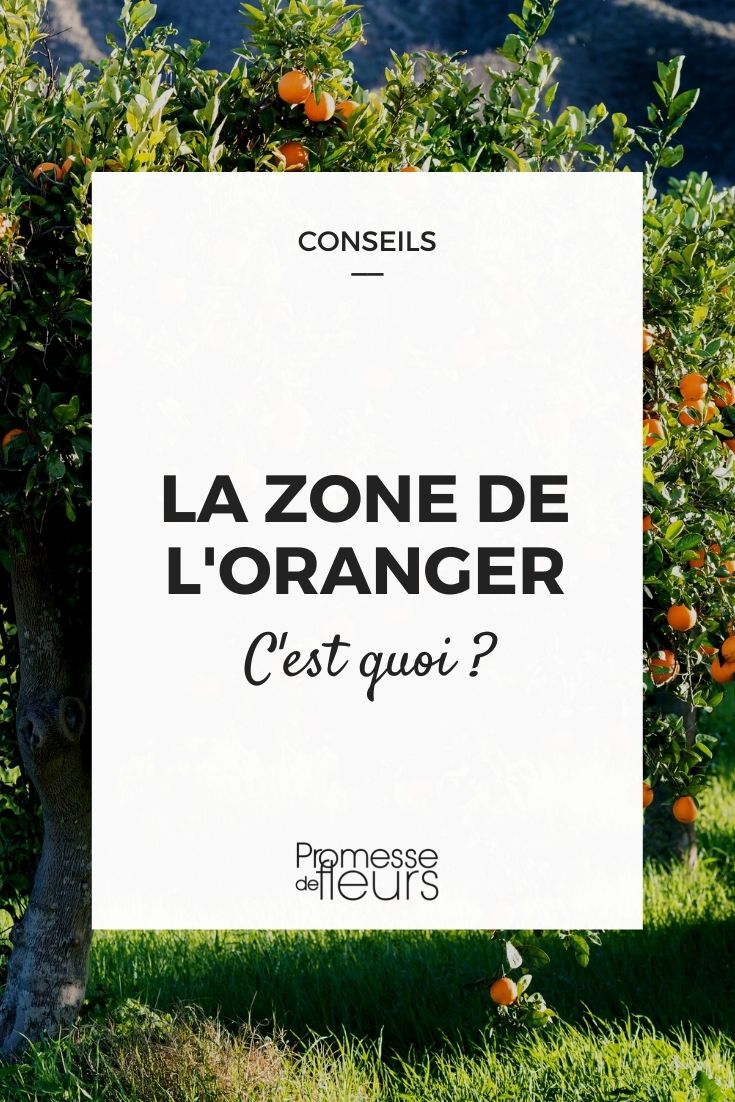 Orangengebiet