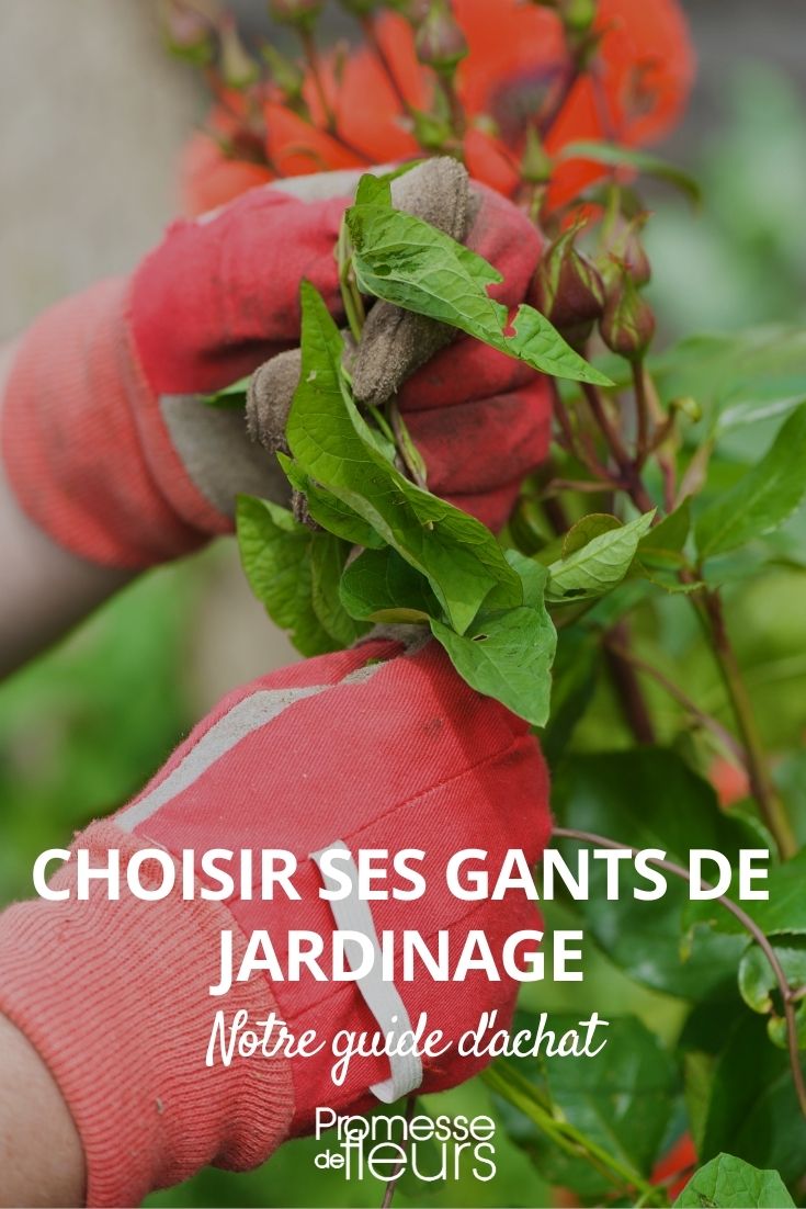 Gartenhandschuhe auswählen