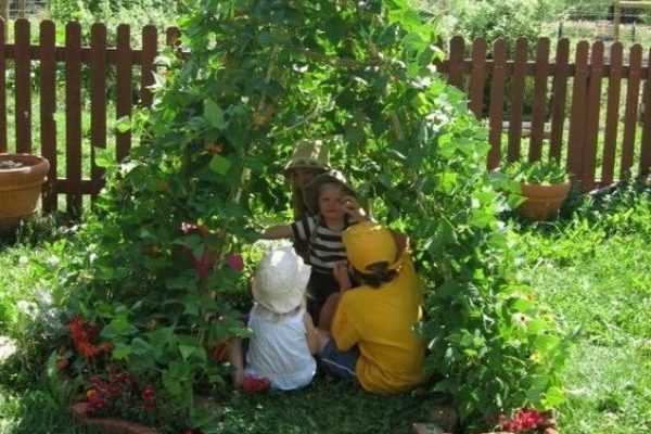 Bohnentipi: Ein einfaches Gartenprojekt für Kinder