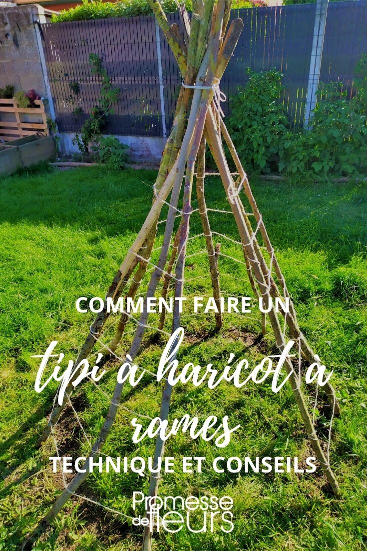 unser Tutorial: Tipi für Stangenbohnen