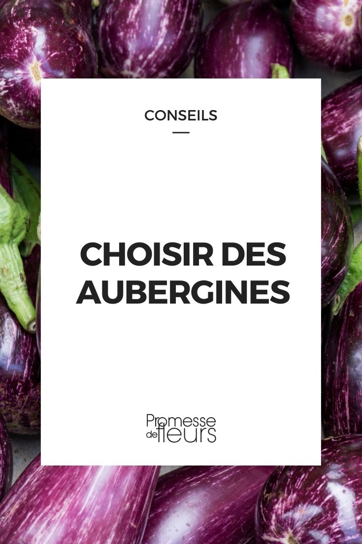 Eine Aubergine auswählen