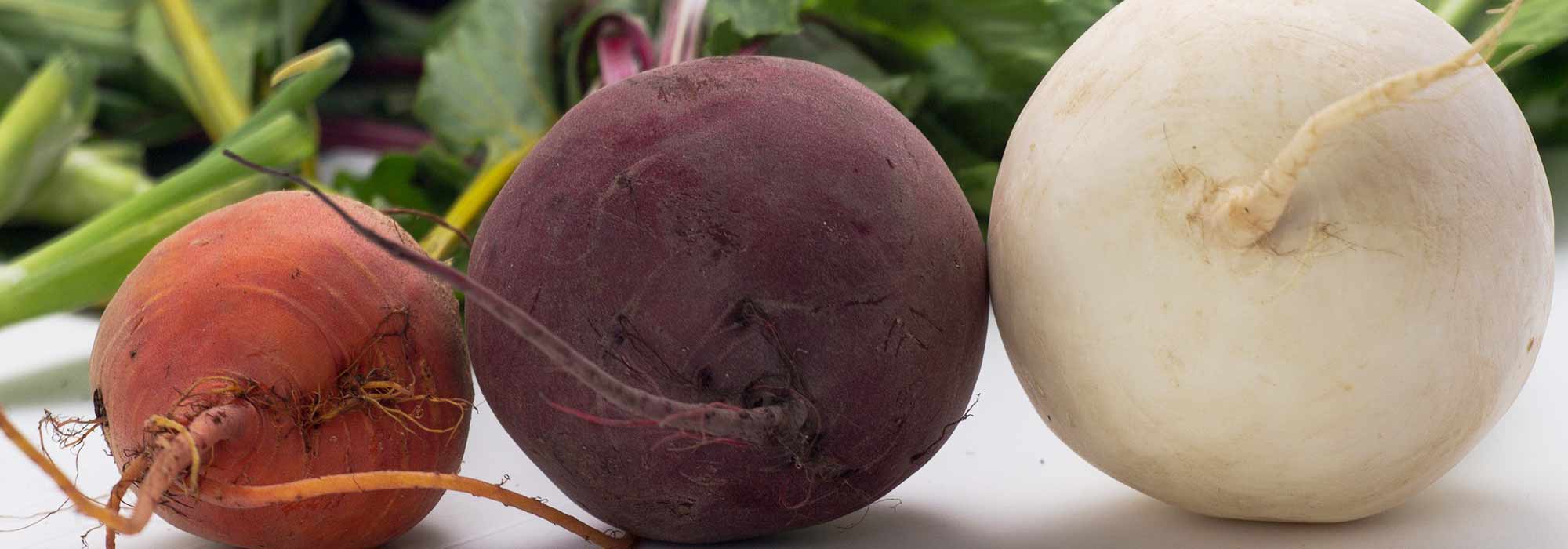 Rote Bete auswählen