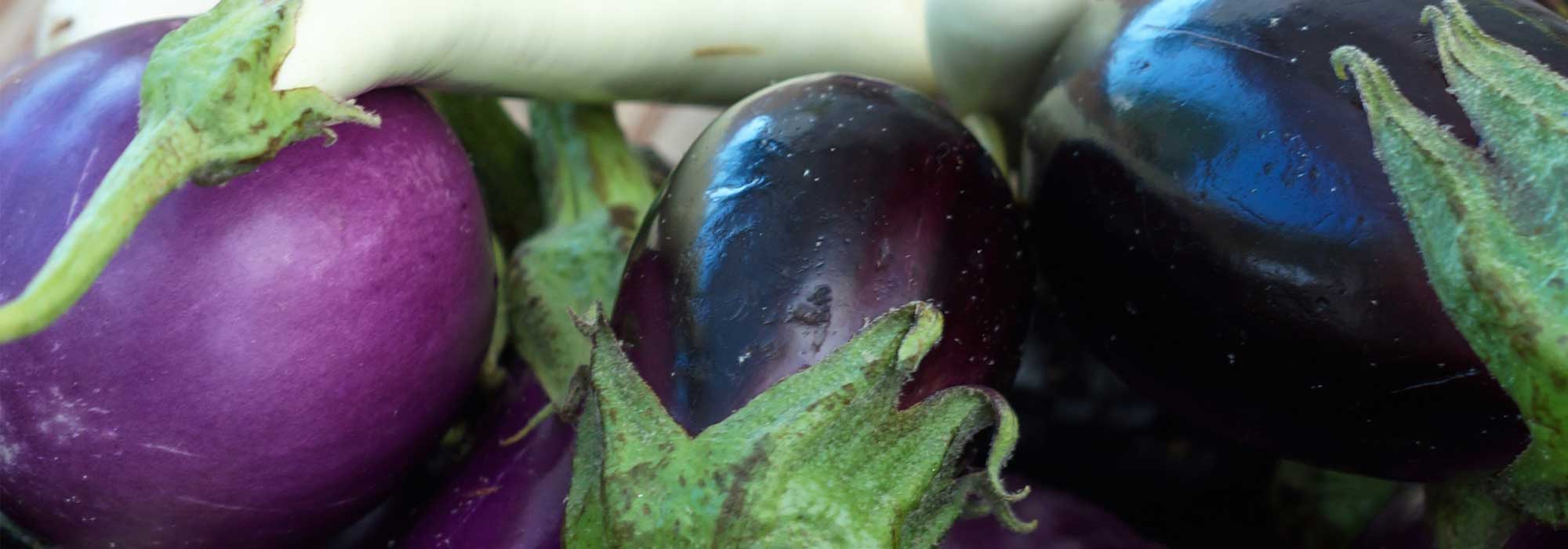 Aubergine: beste Sorten