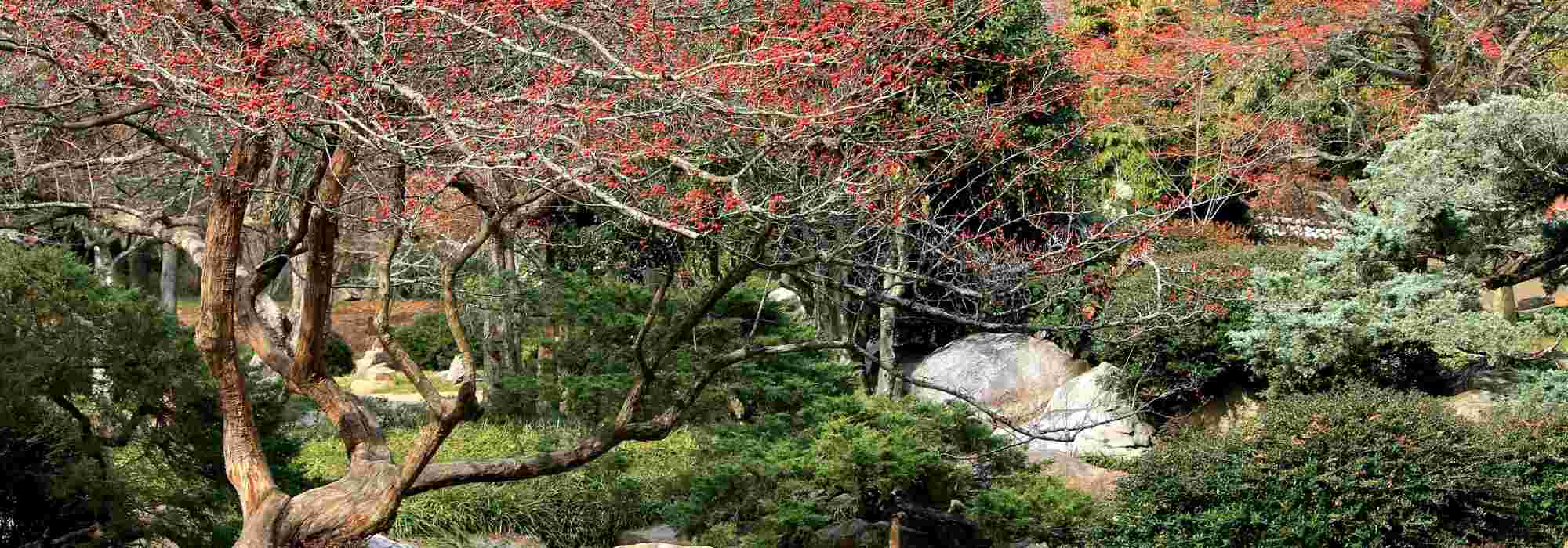 Garten für alle Jahreszeiten gestalten